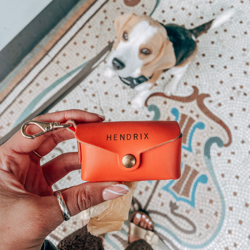 Personalised Leather Dog Poop Bag Holder SBRI